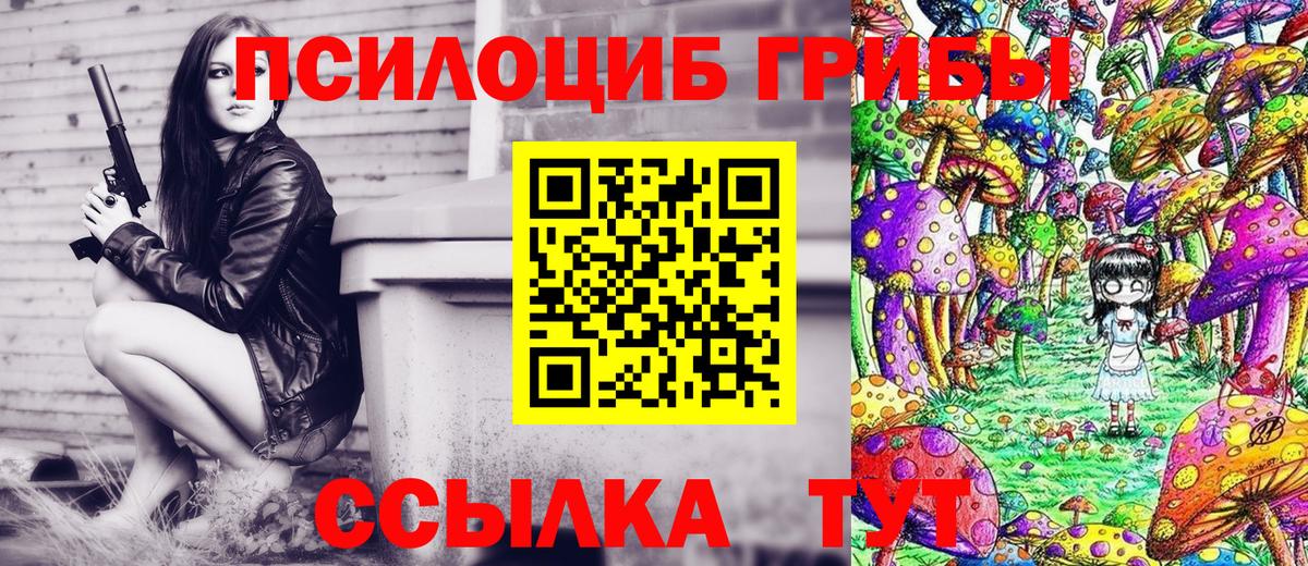 где купить наркоту  Брянск  Галлюциногенные грибы Psilocybe 